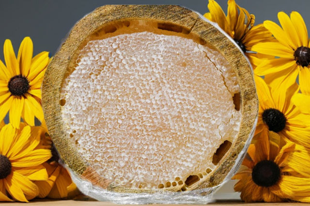 Balsev | Log Hive Karakovan Honeycomb Honey - TryAladdin