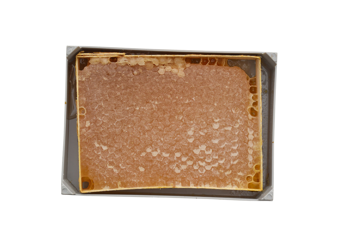 Balsev | Section Karakovan Honeycomb Honey - TryAladdin