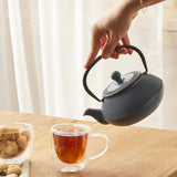 Karaca Mystical Cast Iron Teapot - TryAladdin